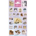 Pegatinas 102 x 200 mm Dogs Cuties Puppies