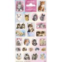 Pegatinas 102 x 200 mm Cats Cuties Puppies