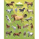 Pegatinas 156 x 200 mm Horse Party