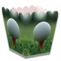 Caja Golf Baja 5 x 5 x 7 cm