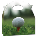 Caja Golf 20 x 16 x 11 cm
