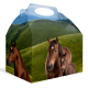 Caja Horse And Pony 20 x 16 x 11 cm
