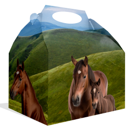 Caja Horse And Pony 20 x 16 x 11 cm