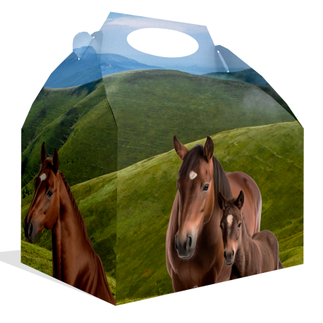 Caja Horse And Pony 20 x 16 x 11 cm