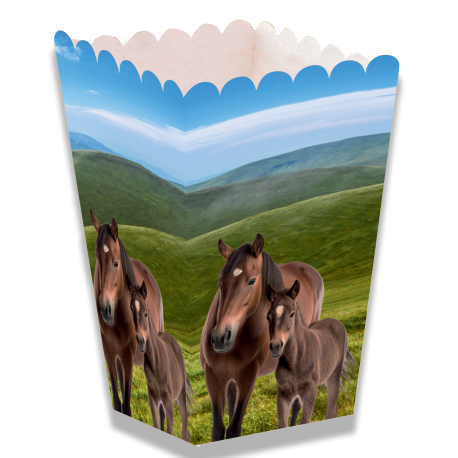 Caja Horse And Pony Alta 5 x 5 x 12 cm