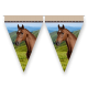 Banderin Horse And Pony 3 metros