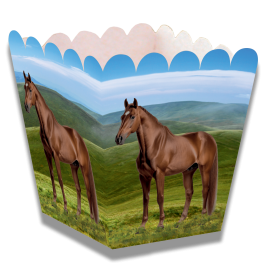 Caja Horse And Pony Baja 5 x 5 x 7 cm