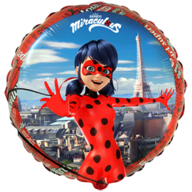 Globo Ladybug Redondo 46 cm