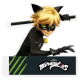 Figura Corcho Cat Noir