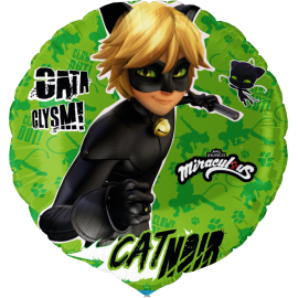 Globo Cat Noir 46 cm