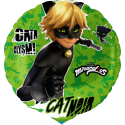 Globo Cat Noir 46 cm