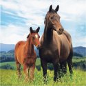 16 Servilletas Horse And Pony 33 cm