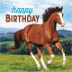 16 Servilletas Horse And Pony Hbd 33 cm